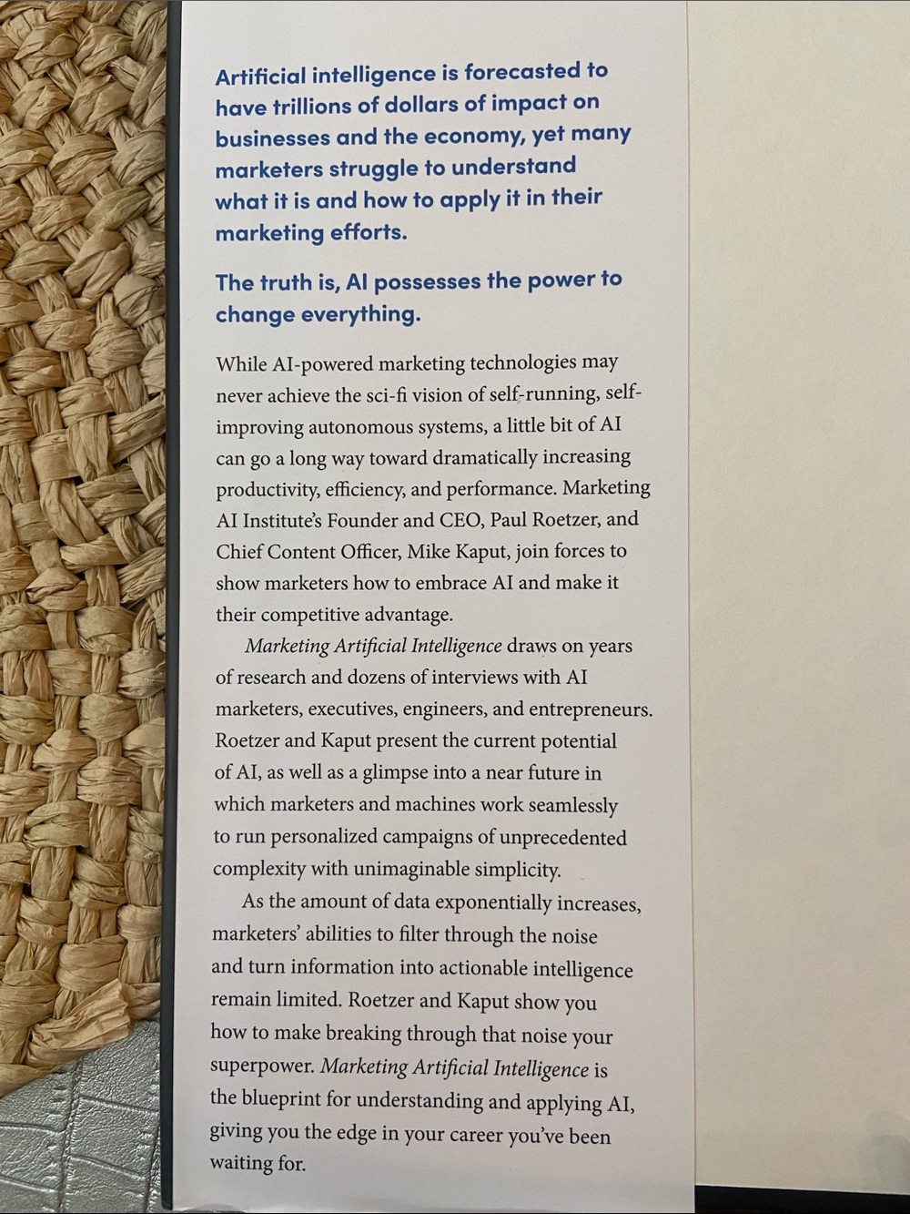 AI Book - Picture 2 of 3